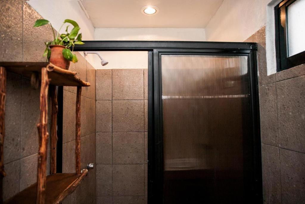 The All Inclusive Hostel - Food, Drinks And Transportation To The Beach And Cenotes Tulum Dış mekan fotoğraf